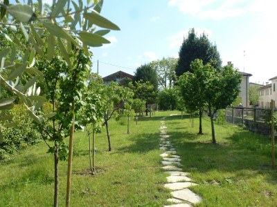 Holiday house Belvilla by OYO Casa sul Piave - Outdoor photo 8