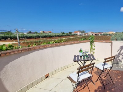 Villa Mimosa - Environment photo 33