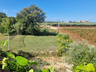 Villa Mimosa - Environment photo 34