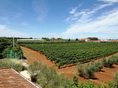 Villa Mimosa - Environment photo 36