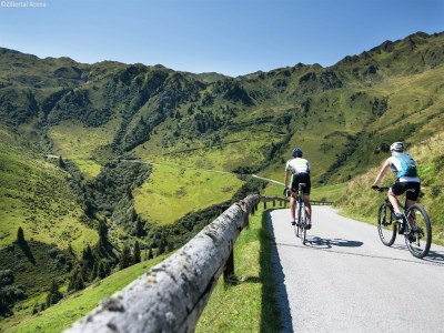 Apartment Apartment in Gerlos near Ski Slopes - Environment photo 17