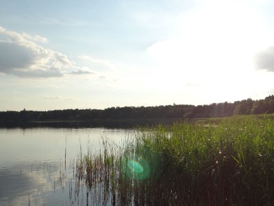 Holiday house Bindow - Environment photo 20