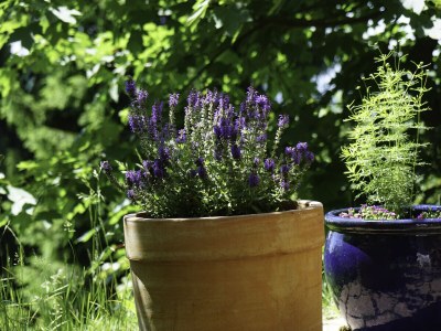 Holiday house Chalet Bergweide - Outdoor photo 8