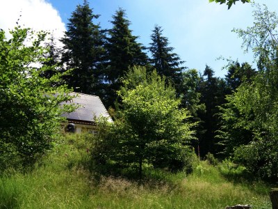 Holiday house Chalet Bergweide - Outdoor photo 9