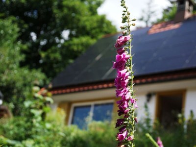 Holiday house Chalet Bergweide - Outdoor photo 11