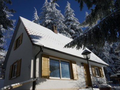 Holiday house Chalet Bergweide - Outdoor photo 13