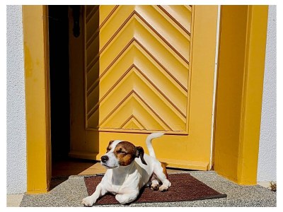 Holiday house Chalet Bergweide - Outdoor photo 17