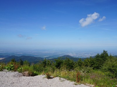 Holiday house Chalet Bergweide - Environment photo 34