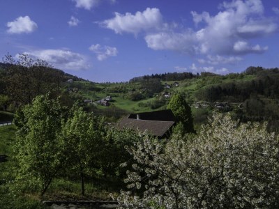 Holiday house Chalet Bergweide - Environment photo 35