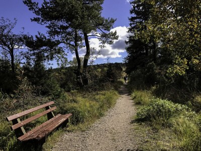 Holiday house Chalet Bergweide - Environment photo 36