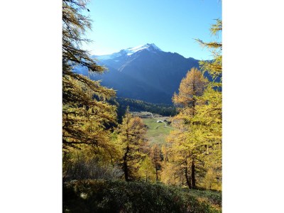 Holiday house Goldberg Hittn - Environment photo 22