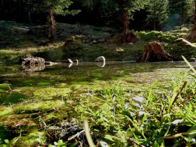 Holiday house Goldberg Hittn - Environment photo 23