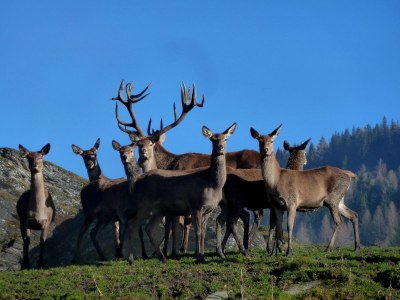 Holiday house Goldberg Hittn - Environment photo 26