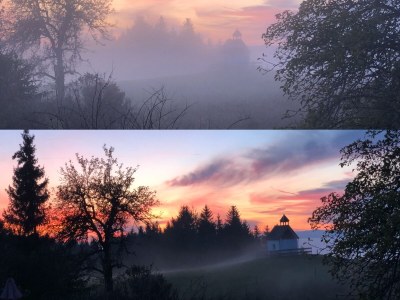 Holiday apartment Apartment Waxenegg³ - Outdoor photo 11