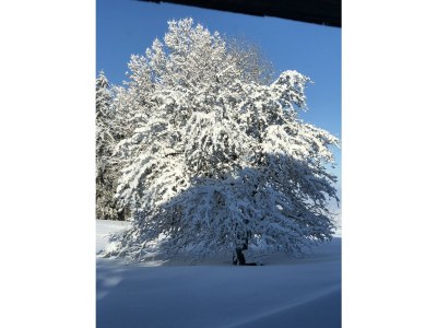 Holiday apartment Apartment Waxenegg³ - Outdoor photo 14