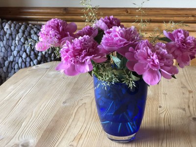 Holiday apartment Apartment Waxenegg³ - Features photo 24