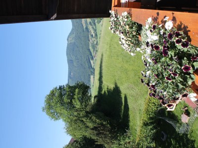 Holiday apartment Am Irrsee - Pension Winter - Environment photo 17