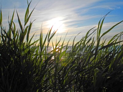 Holiday apartment - No title - - Environment photo 21