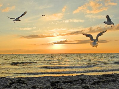 Holiday apartment - No title - - Environment photo 22