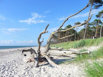 Holiday apartment - No title - - Environment photo 24