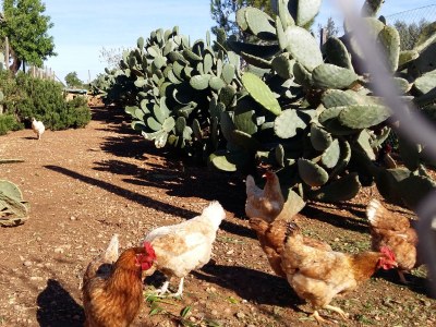 Finca Maravillosa Vista - Outdoor photo 23