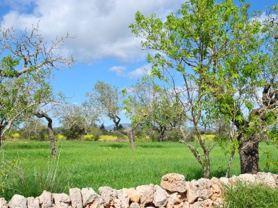 Finca Maravillosa Vista - Environment photo 37