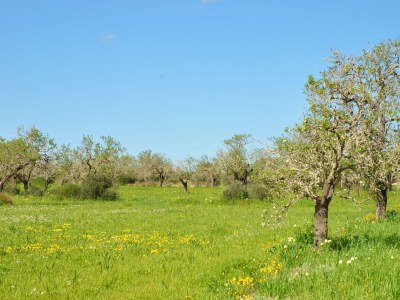 Finca Maravillosa Vista - Environment photo 38