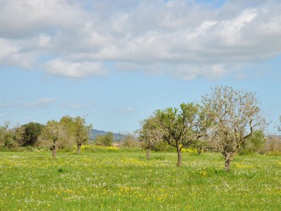 Finca Maravillosa Vista - Environment photo 39