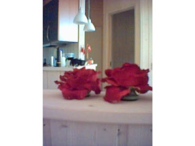 Holiday house on the North Sea - Features photo 7