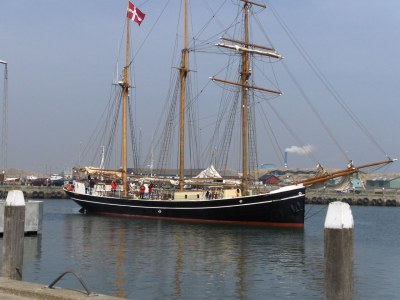 Holiday house on the North Sea - Environment photo 16