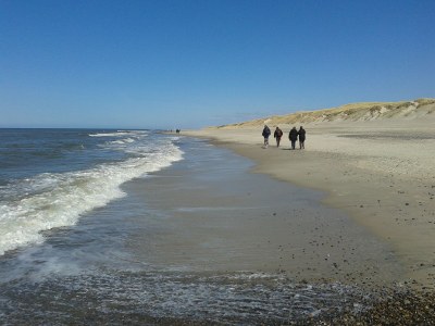 Holiday house on the North Sea - Environment photo 17