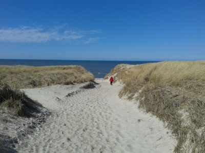 Holiday house on the North Sea - Environment photo 18