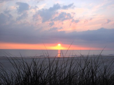 Holiday house on the North Sea - Environment photo 20