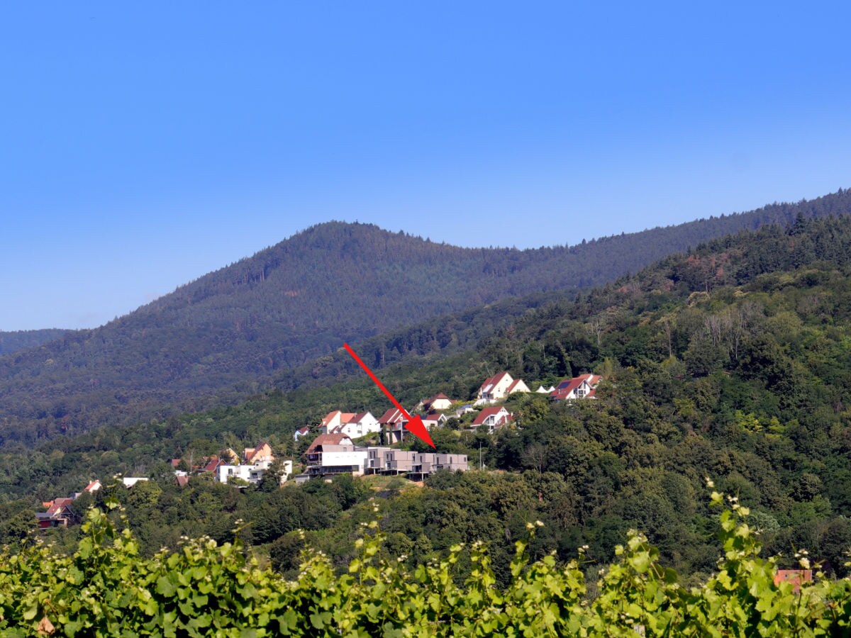 Holiday house - No title - - Outdoor photo 3