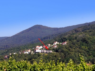 Holiday house - No title - - Outdoor photo 3