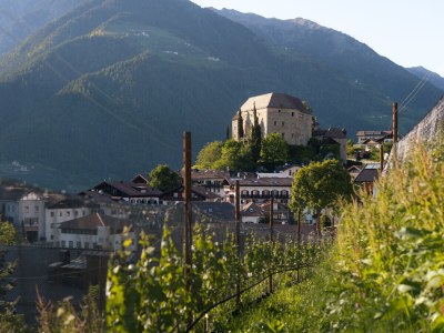 Holiday apartment Penthouse Apartment "Gala" Prairerhof - Outdoor photo 14