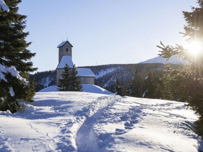 Holiday apartment Penthouse Apartment "Gala" Prairerhof - Environment photo 28