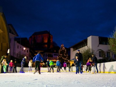 Holiday apartment Penthouse Apartment "Gala" Prairerhof - Environment photo 35