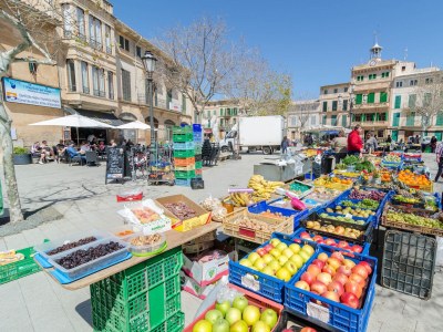 Villa Casa Campillos - Environment photo 31