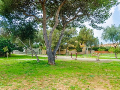 Chalet Can Cantari - Environment photo 36