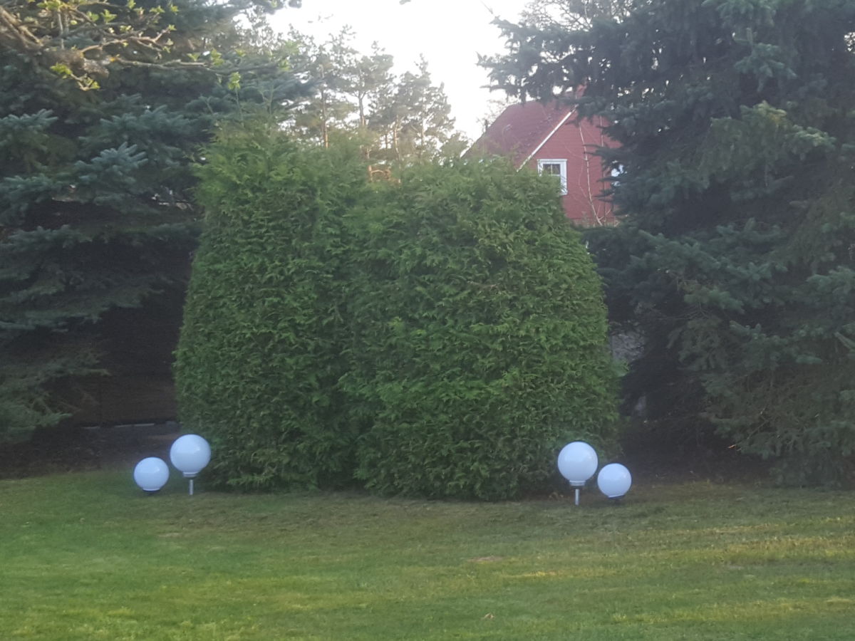 Bungalow Wünsche 3 - Outdoor photo 3