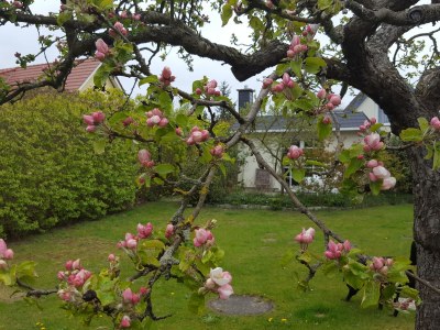 Bungalow Wünsche 3 - Outdoor photo 2
