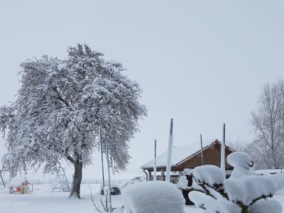 Bungalow Wünsche 3 - Outdoor photo 5