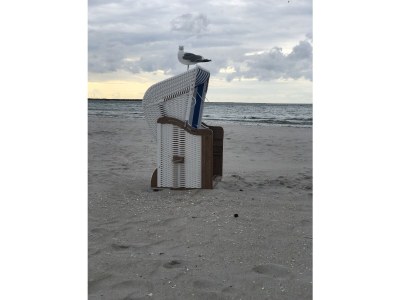 Bungalow Wünsche 3 - Outdoor photo 9