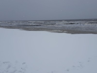 Bungalow Wünsche 3 - Environment photo 28