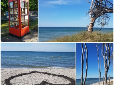 Bungalow Wünsche 3 - Environment photo 30