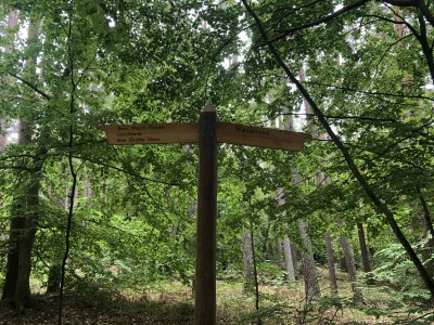 Bungalow Wünsche 3 - Environment photo 31