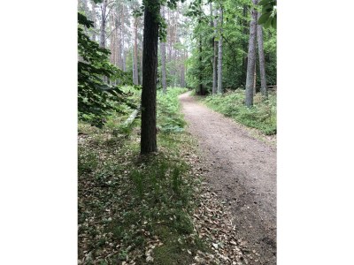 Bungalow Wünsche 3 - Environment photo 32