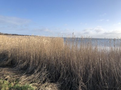 Bungalow Wünsche 3 - Environment photo 38