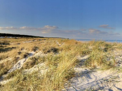 Bungalow Wünsche 3 - Environment photo 39